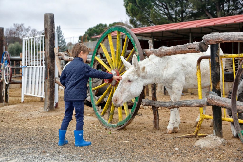 Burrolandia