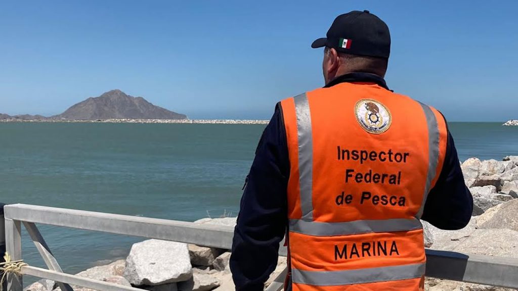 Vaquita Marina sigue bajo amenaza